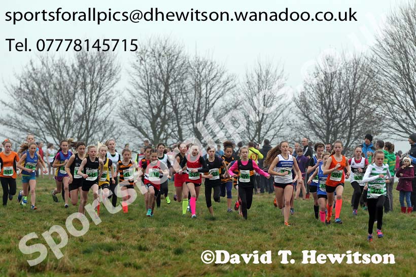 Under-13  girls NEHL, Aykley Heads, Durham. Photo: David T. Hewitson/Sports for All Pics